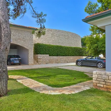 Sarah فيلة سافودغيا